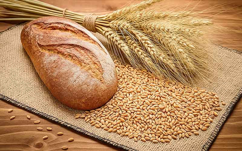 Ekmek ve buğdaylar